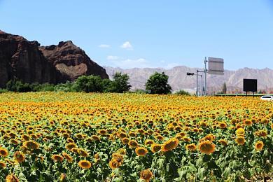 《冰汽时代》厂商《多重人生》明年推出 登陆PC和主机